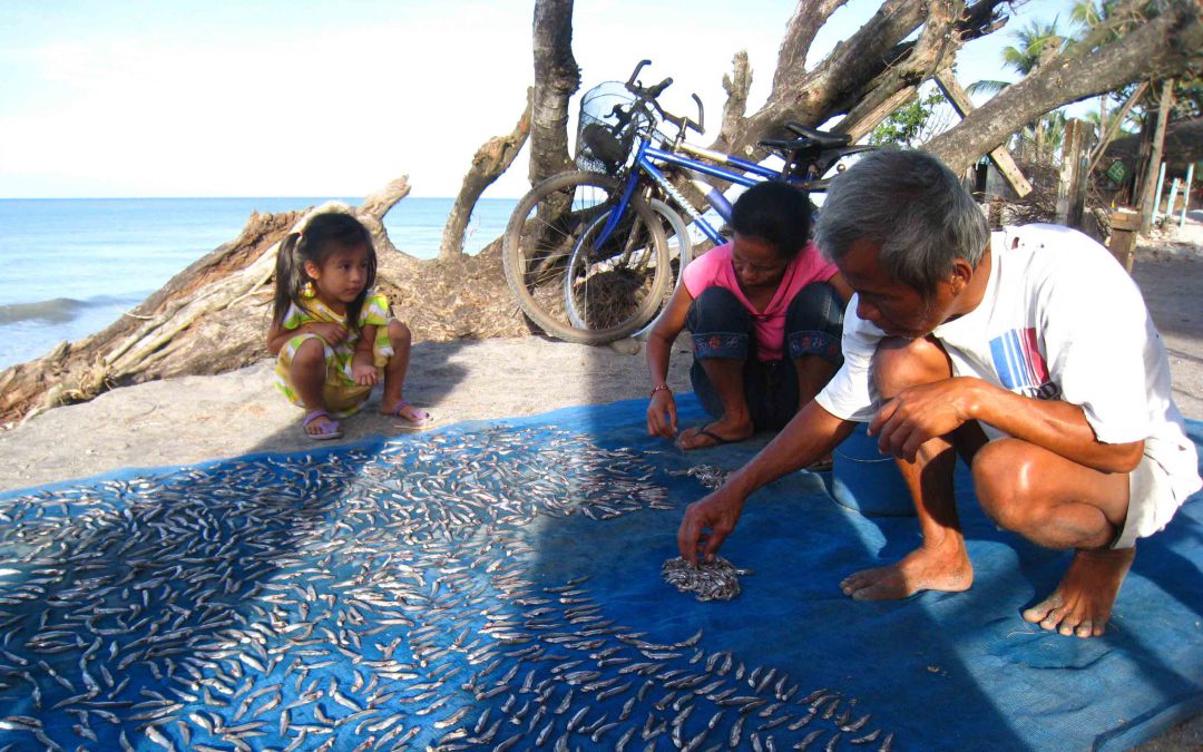 Health and Water Management and Livelihood Support 2009