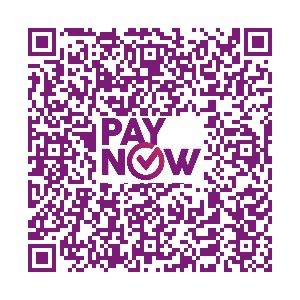 paynow-turkey-2023